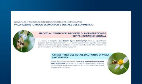 L’evoluzione del Grocery Retail: qual è lo stato attuale?