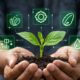 Agritech: definizione, applicazioni e sviluppi in Italia
