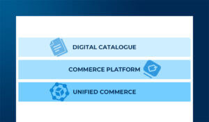 Potenzialità e criticità nella gestione di eShop B2b