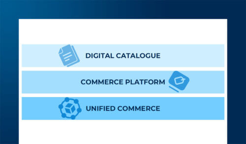 Potenzialità e criticità nella gestione di eShop B2b