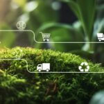 Sostenibilità nel Retail: progetti, obiettivi e ruolo del digitale