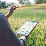 Agricoltura 4.0: offerta, mercato e stato di digitalizzazione