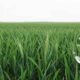 Smart Land, l’innovazione che non si ferma ai confini della città