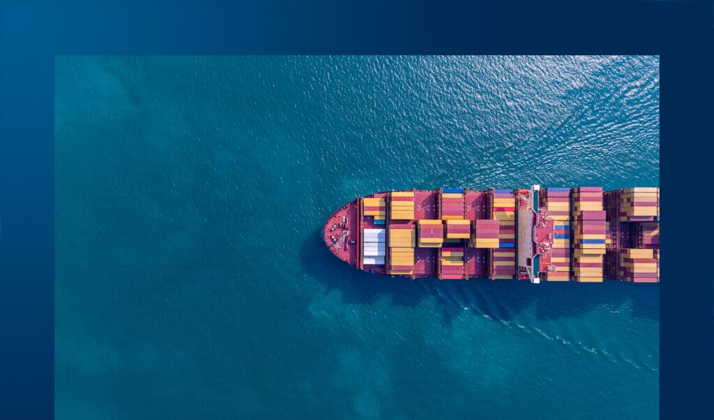 Executive Overview - Convegno Pianificare la Supply Chain nello stormo di cigni neri