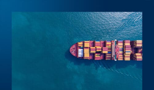 Executive Overview - Convegno Pianificare la Supply Chain nello stormo di cigni neri