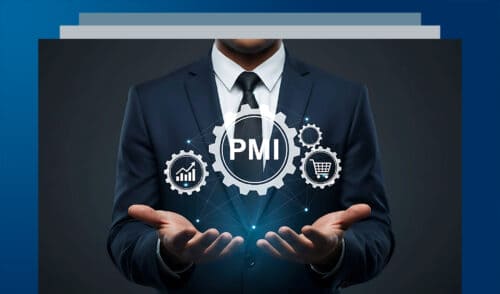 PMI & Professional Innovation