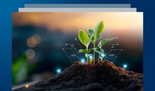Smart Agrifood & Food Innovation